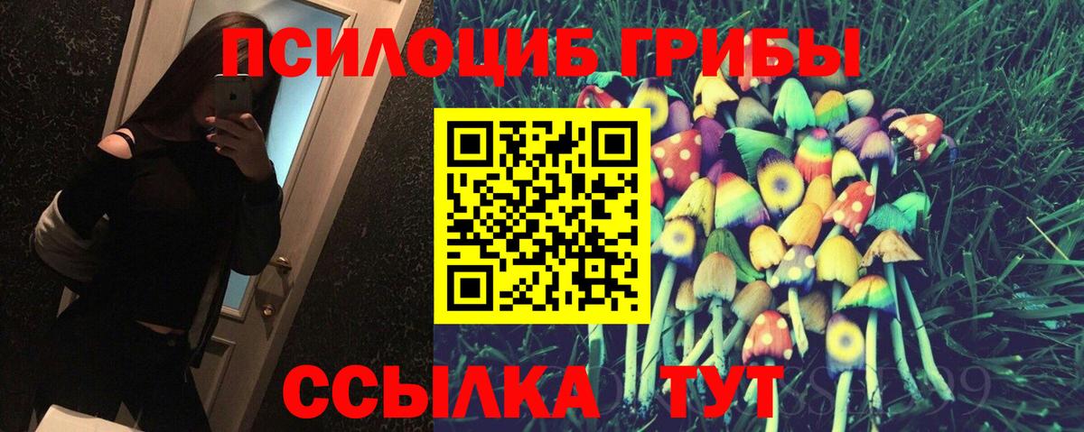 Псилоцибиновые грибы GOLDEN TEACHER  Галлюциногенные грибы Magic Shrooms  Ялта  Вход с VPN 