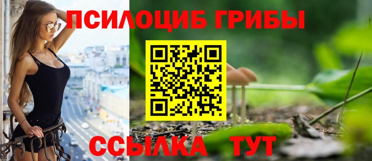 Псилоцибиновые грибы GOLDEN TEACHER Ялта